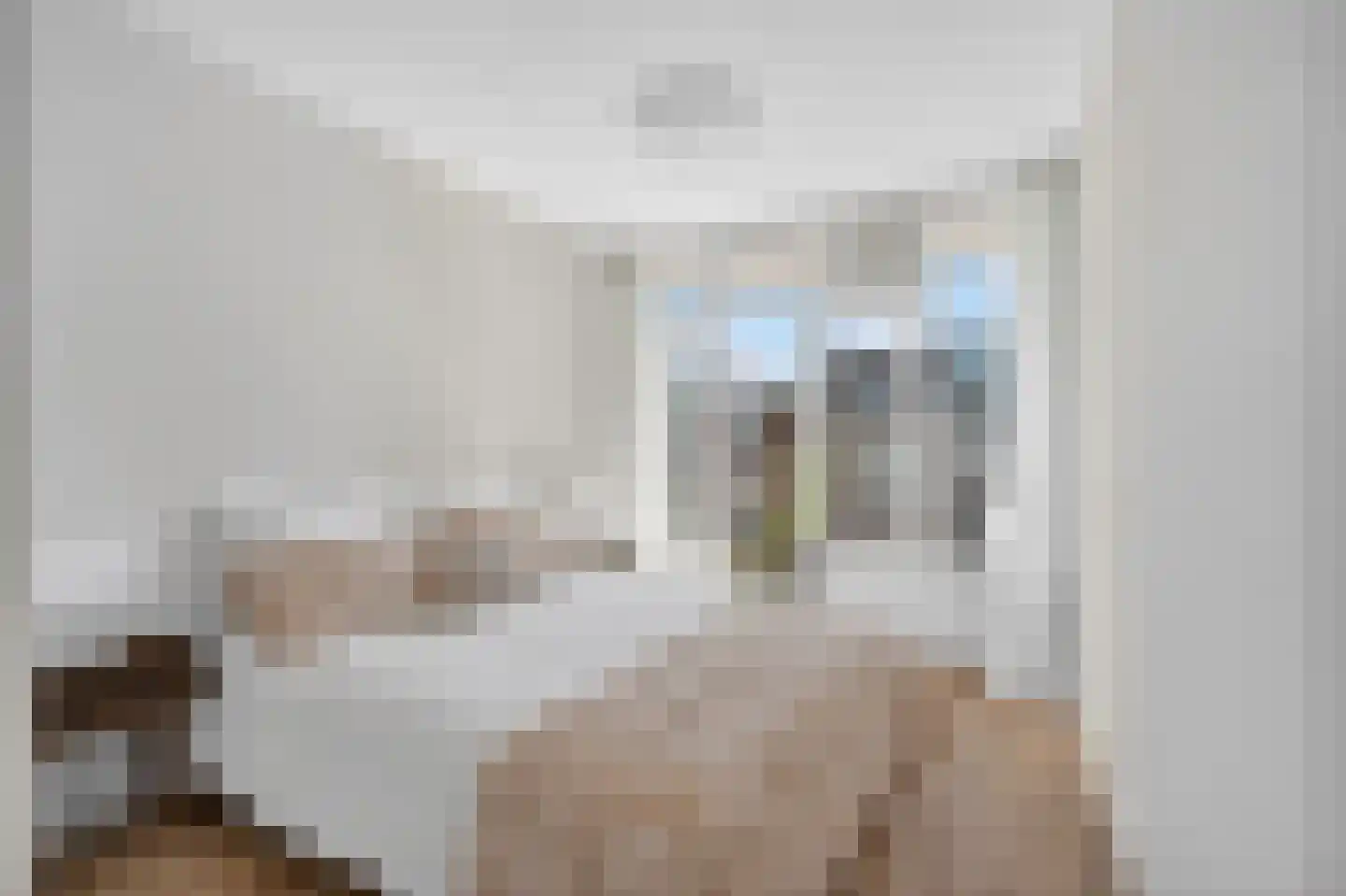 Pieter Nieuwlandstraat 18 D Amsterdam thumbnail 13