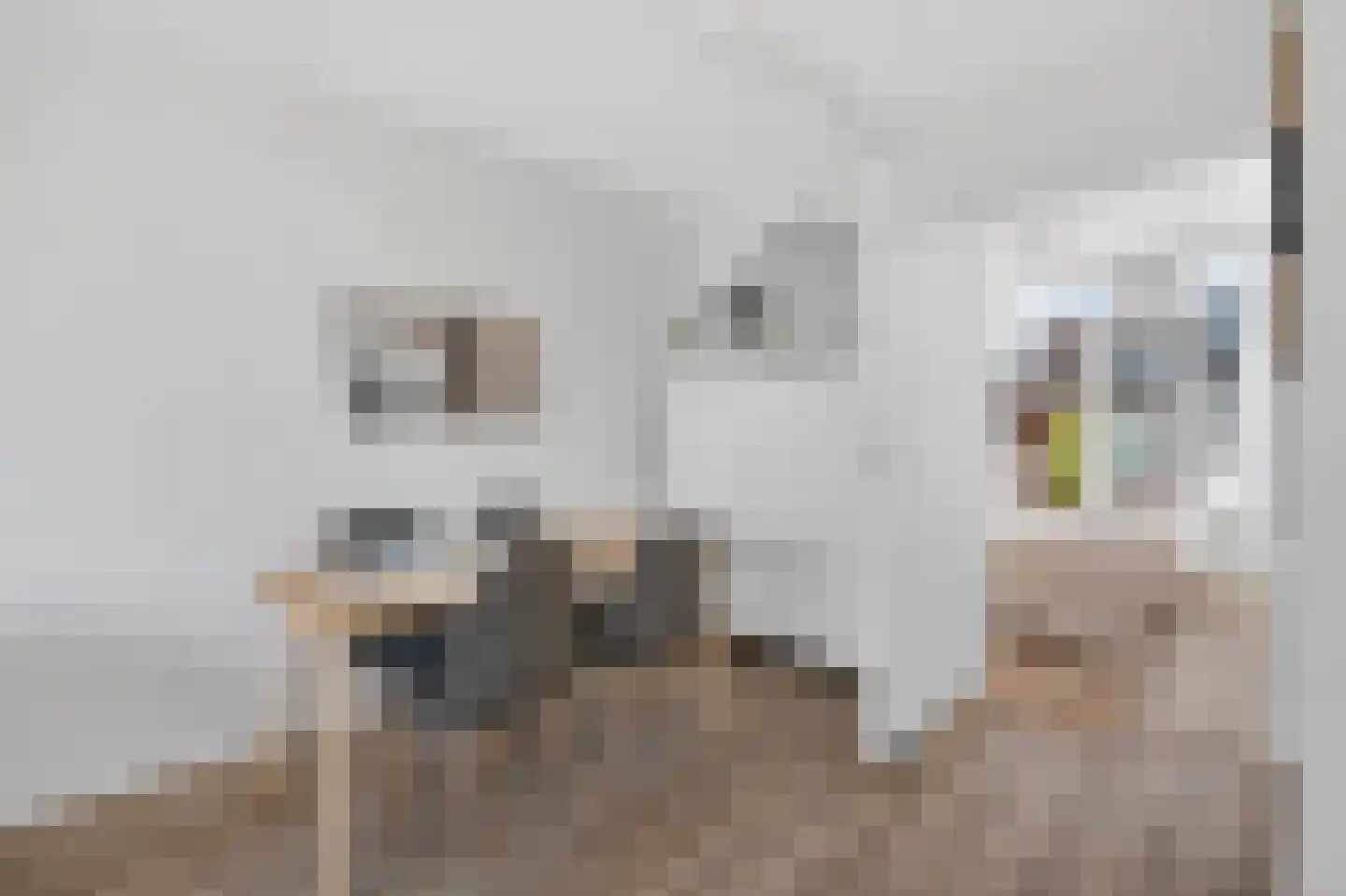 Pieter Nieuwlandstraat 18 D Amsterdam thumbnail 8