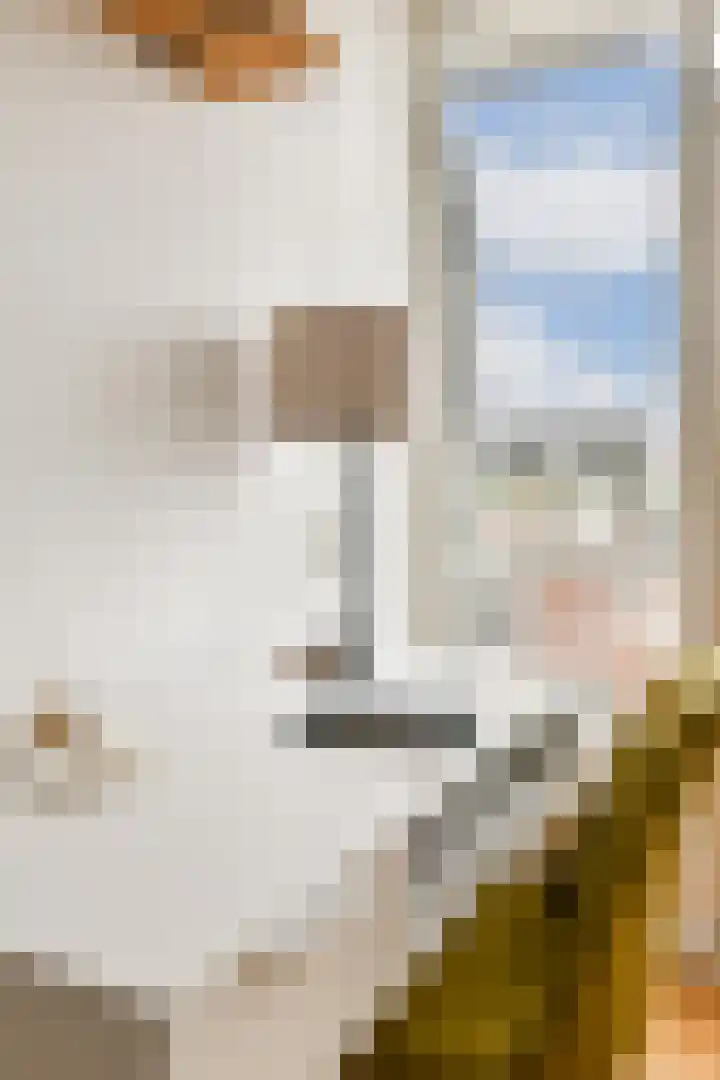Pieter Nieuwlandstraat 22 D Amsterdam thumbnail 9