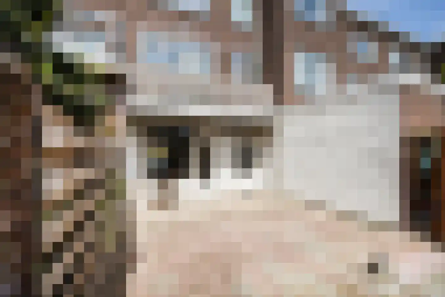 Pieter Nieuwlandstraat 23 Utrecht thumbnail 11