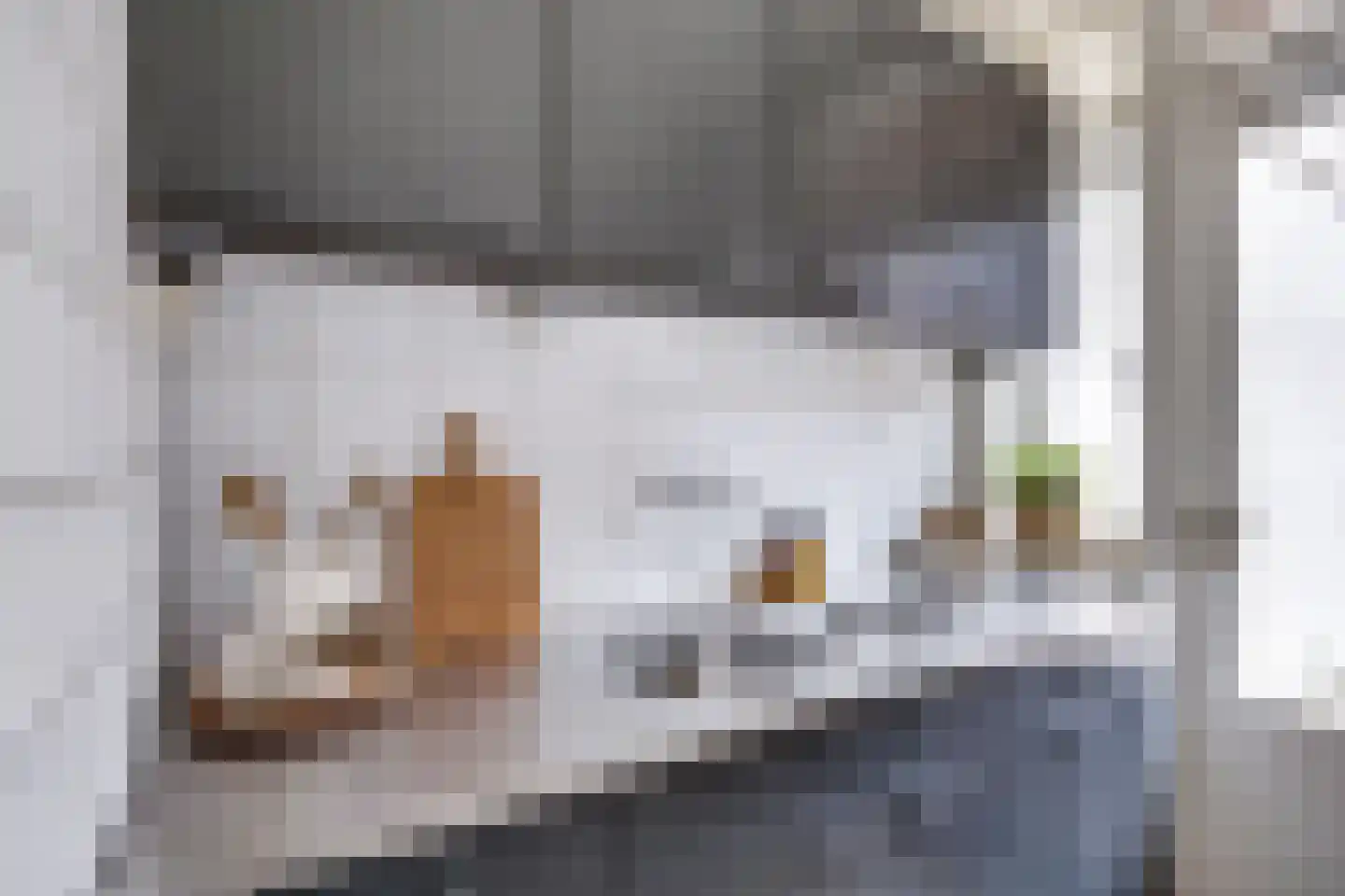 Pieter Nieuwlandstraat 23 Utrecht thumbnail 20
