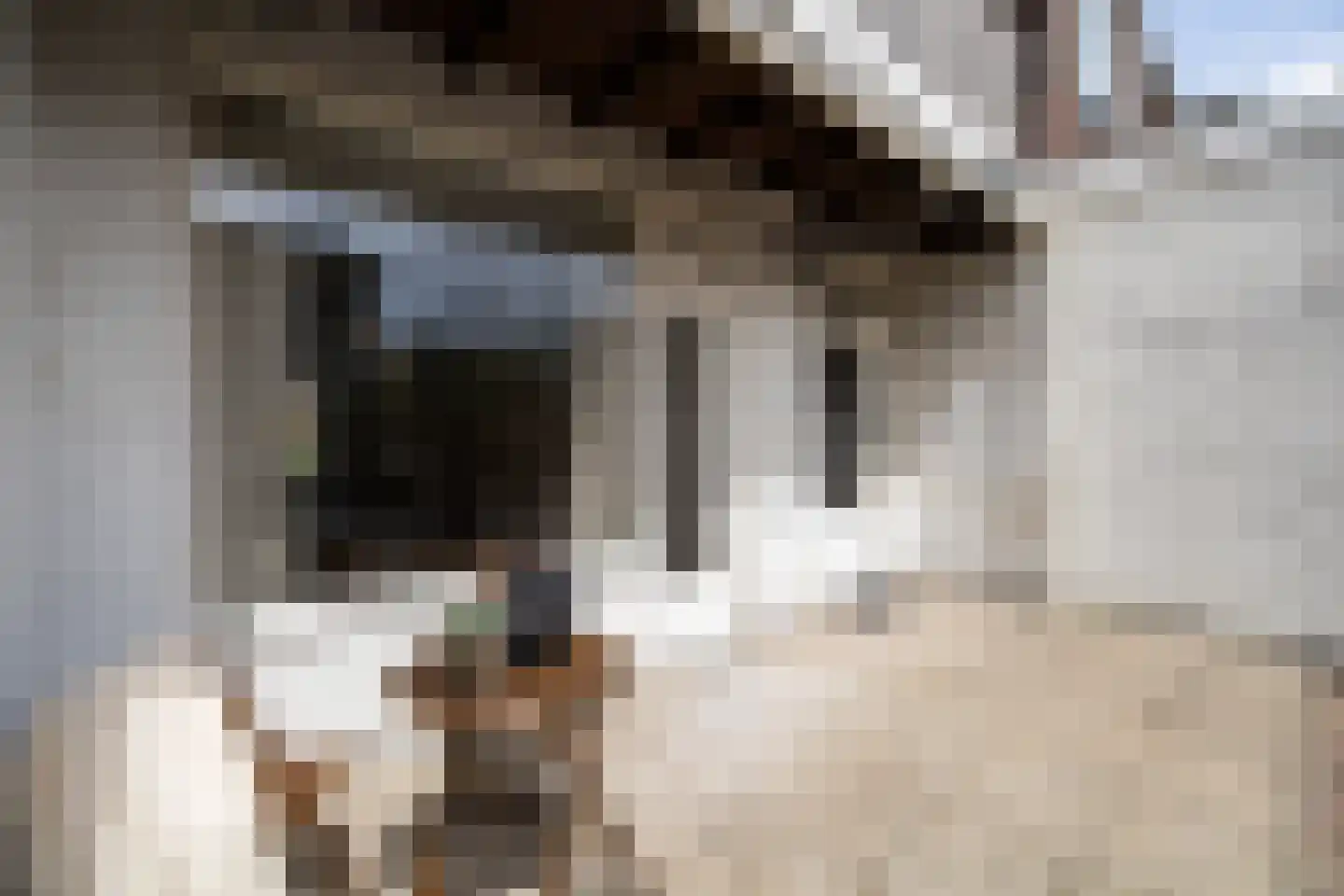 Pieter Nieuwlandstraat 23 Utrecht thumbnail 40
