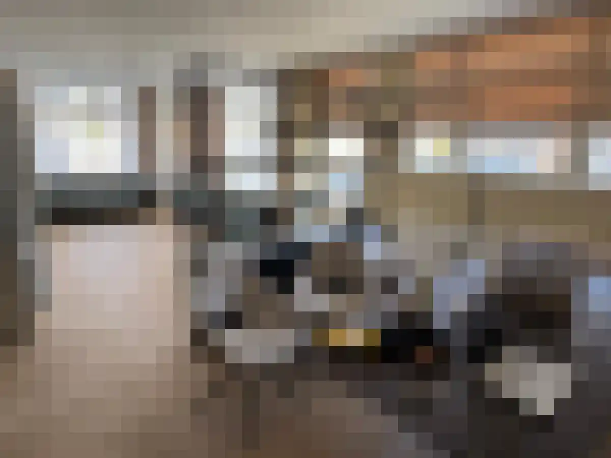 Pieter Nieuwlandstraat 31 Utrecht thumbnail 5