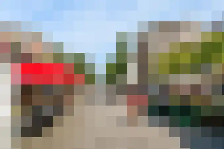 Pieter Nieuwlandstraat 60 Amsterdam thumbnail 17
