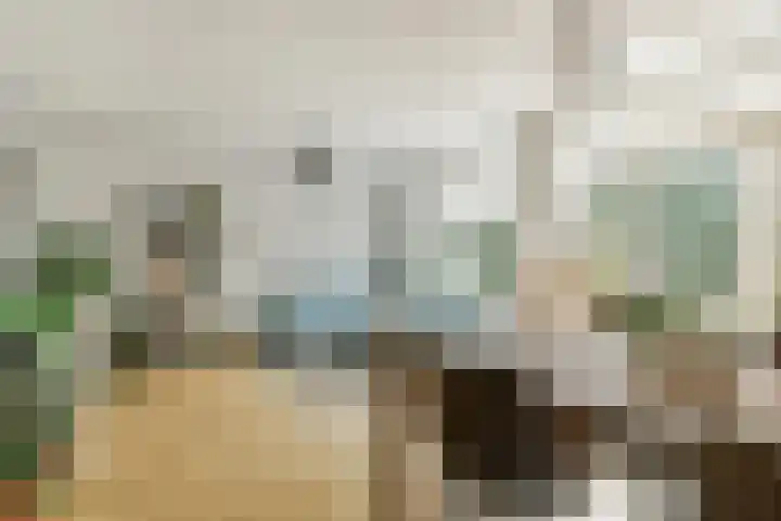 Pieter Nieuwlandstraat 60 Amsterdam thumbnail 6