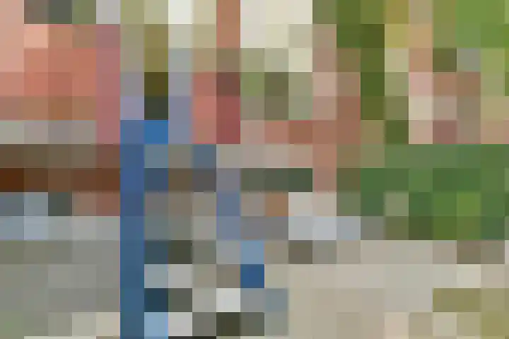 Pieter Nieuwlandstraat 60 Amsterdam thumbnail 8
