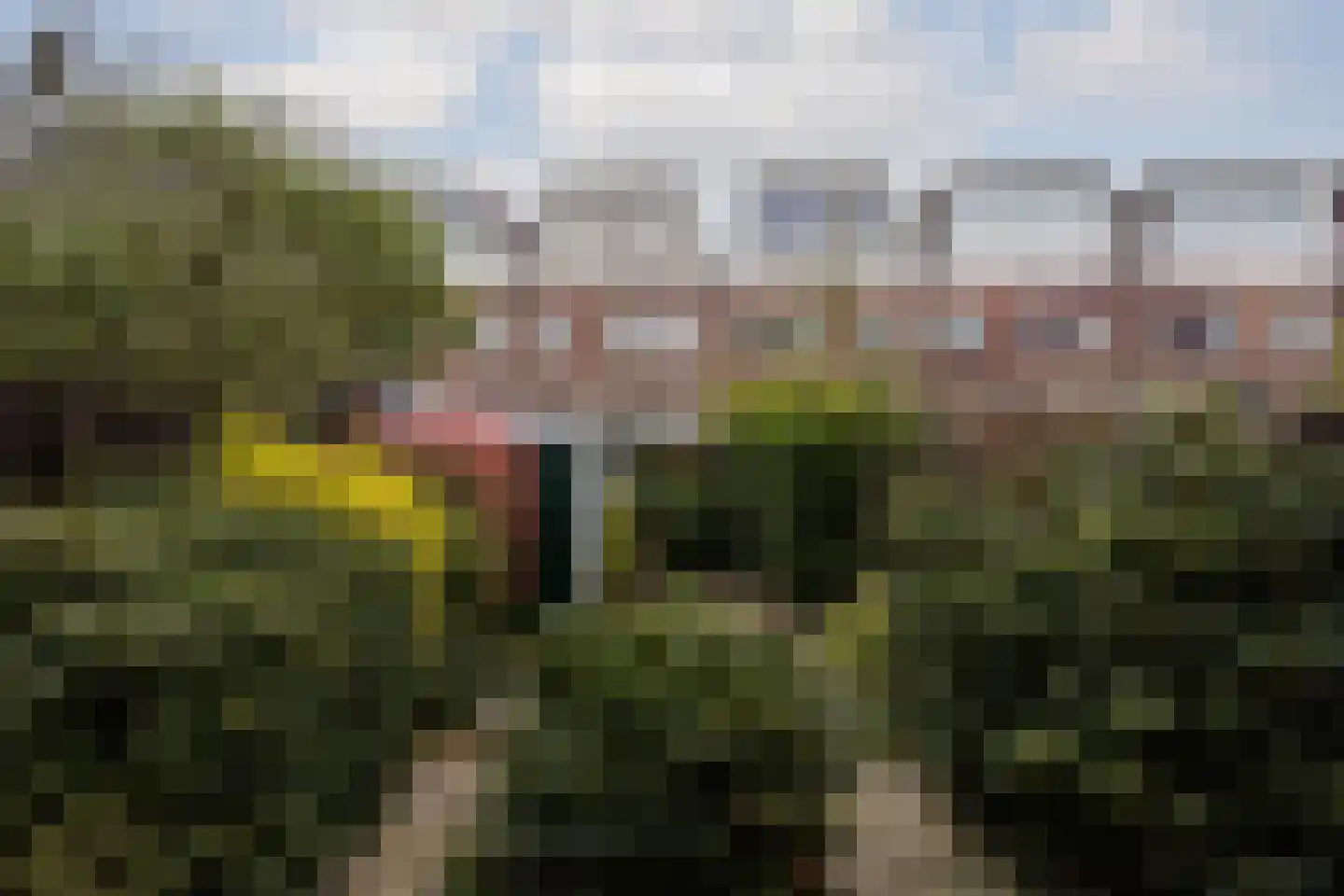 Pieter Nieuwlandstraat 61 Utrecht thumbnail 7