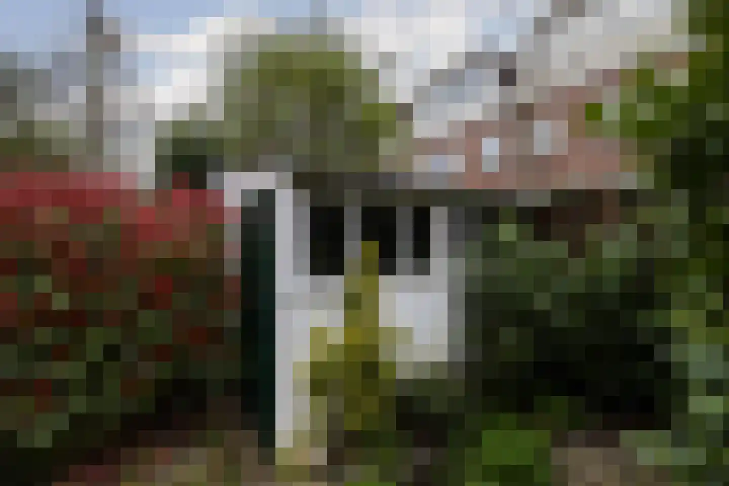Pieter Nieuwlandstraat 61 Utrecht thumbnail 8