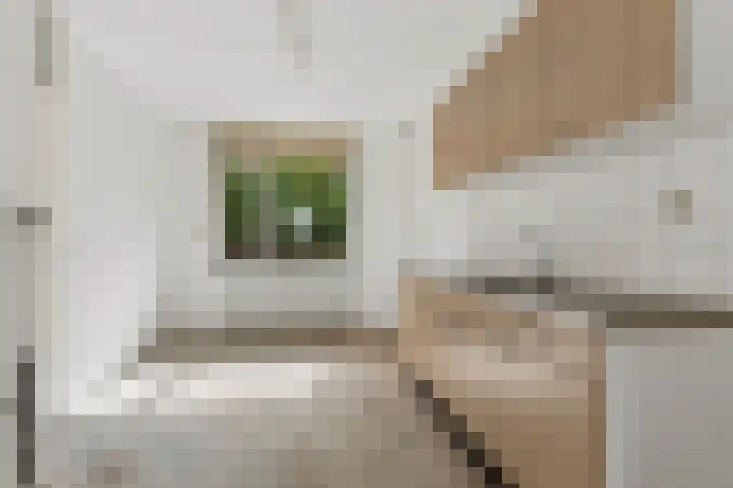 Pieter Nieuwlandstraat 72 D Amsterdam thumbnail 9