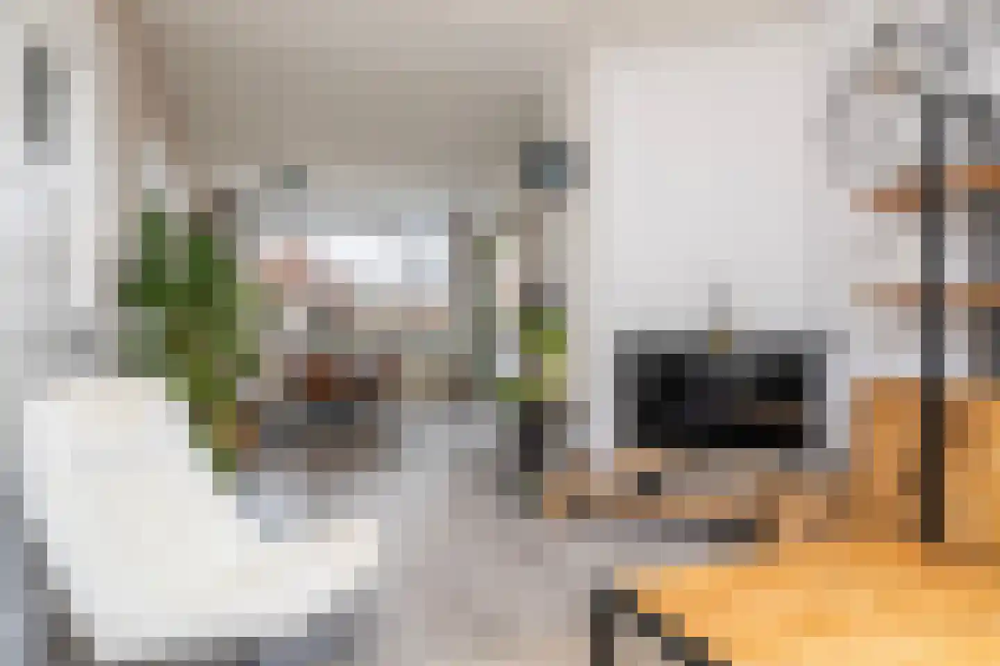 Pieter Nieuwlandstraat 85 BS Utrecht thumbnail 11
