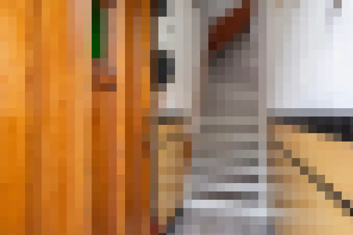 Pieter Nieuwlandstraat 85 BS Utrecht thumbnail 7