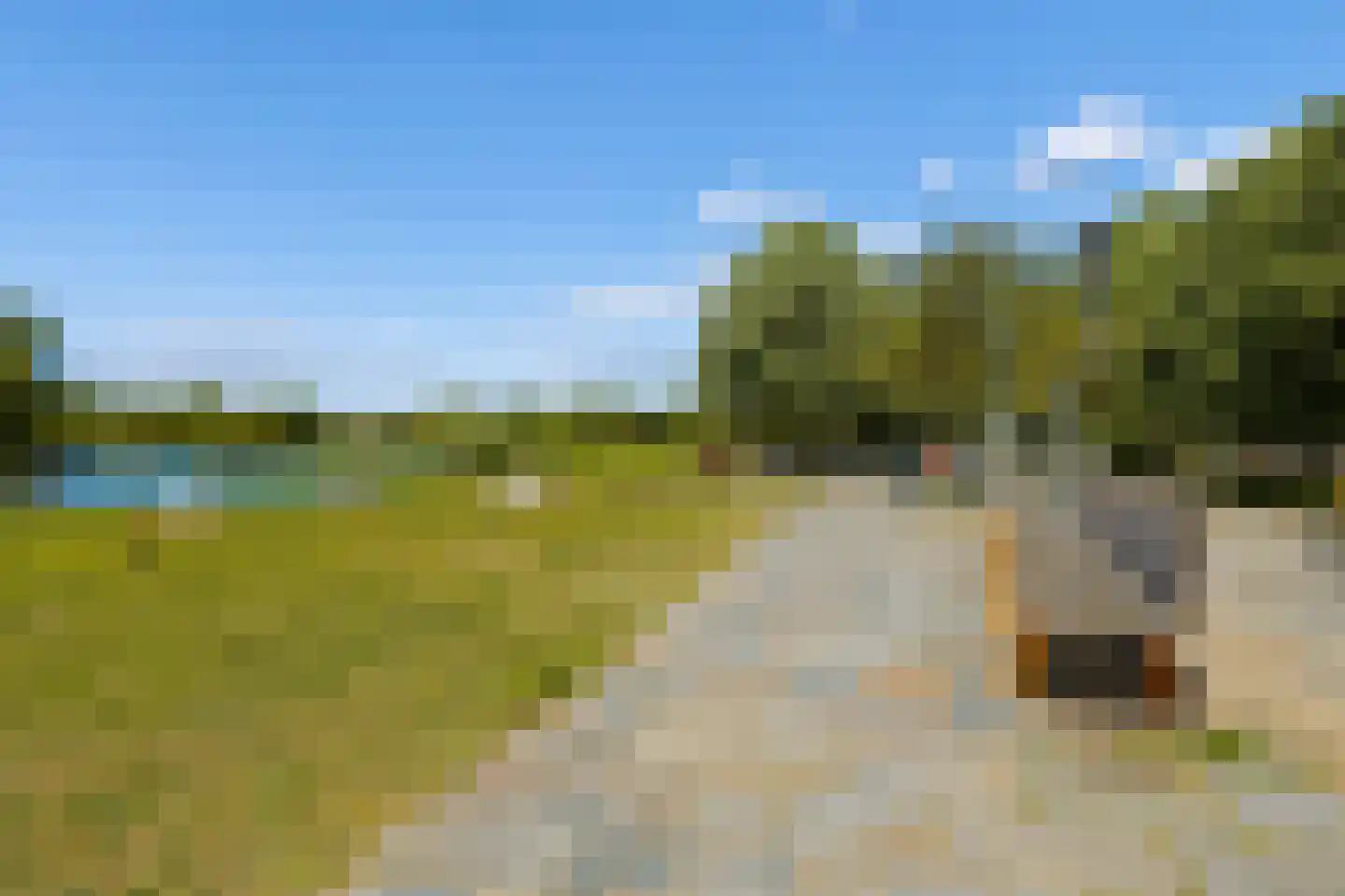Pieter Nieuwlandstraat 91 Utrecht thumbnail 43