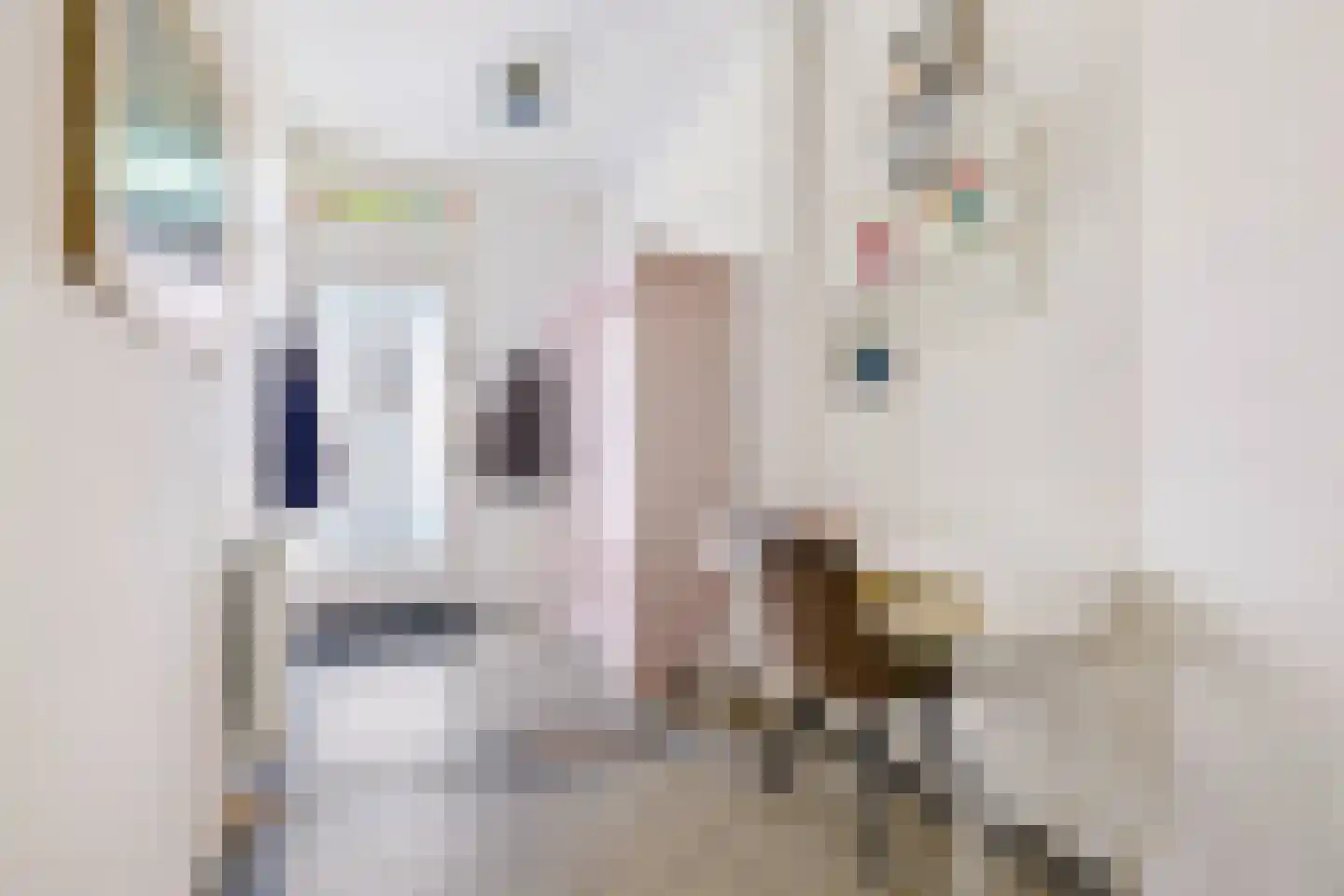 Pieter Nieuwlandstraat 91 Utrecht thumbnail 5