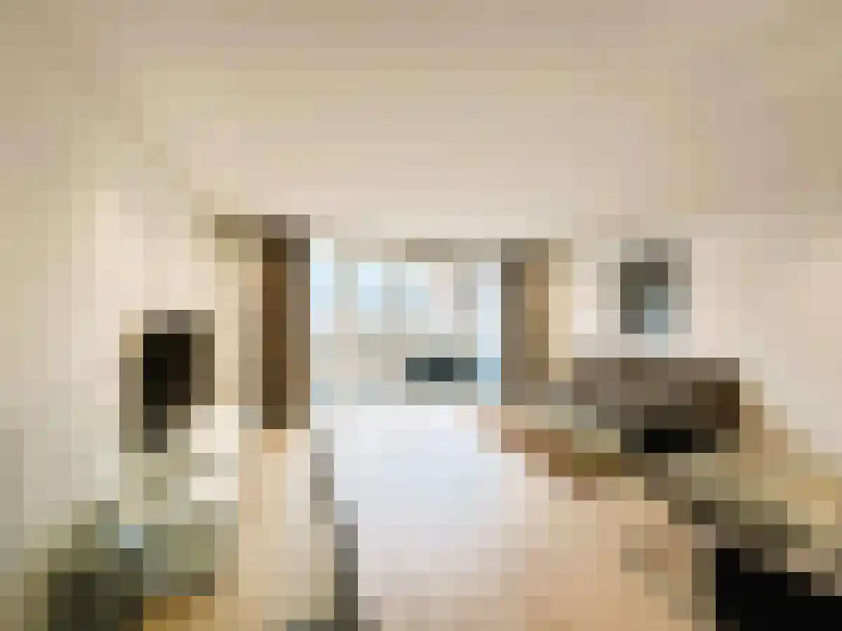 Pieter Oosterhuisstraat 106 Amsterdam thumbnail 4