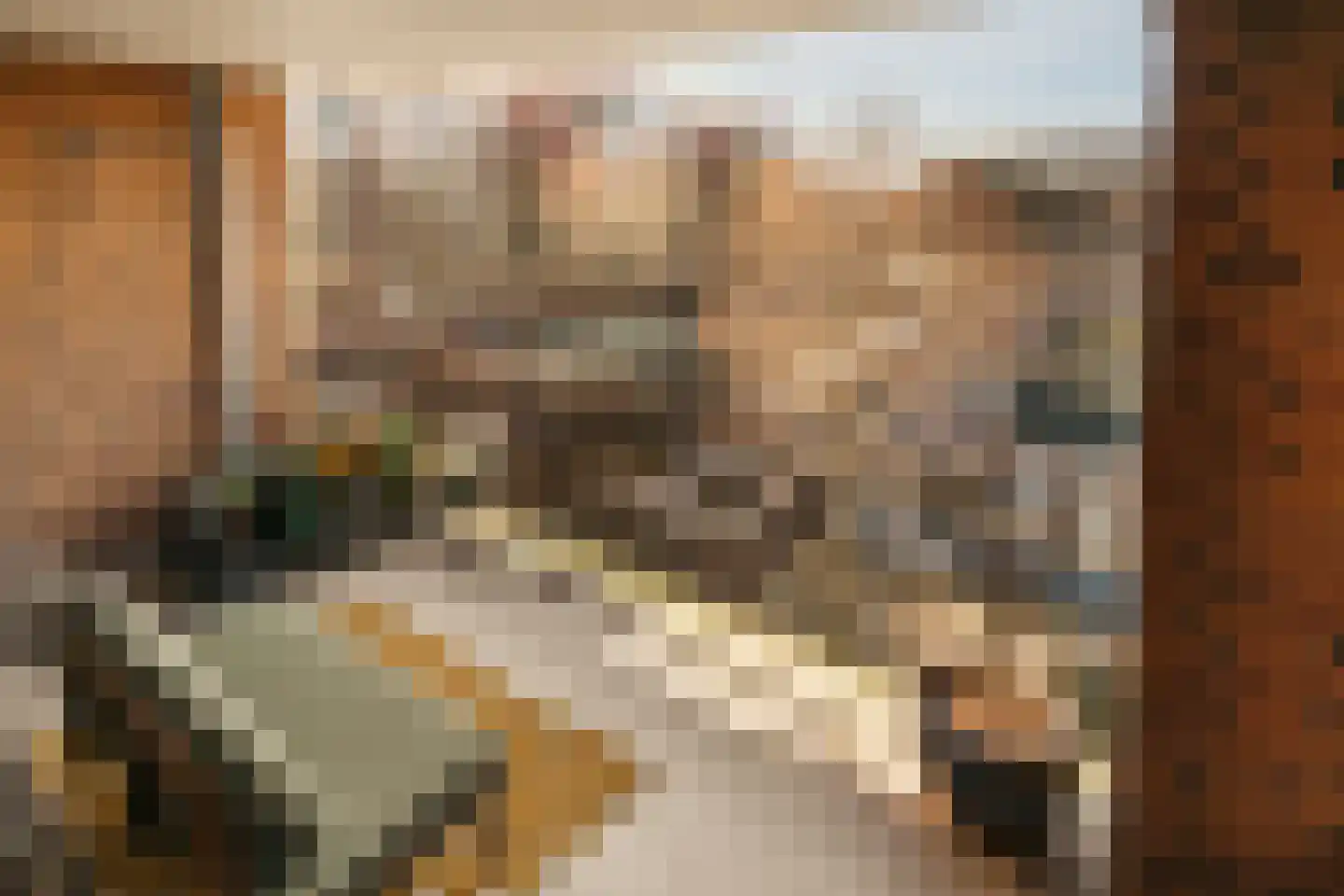 Pieter Oosterhuisstraat 16 Amsterdam thumbnail 12