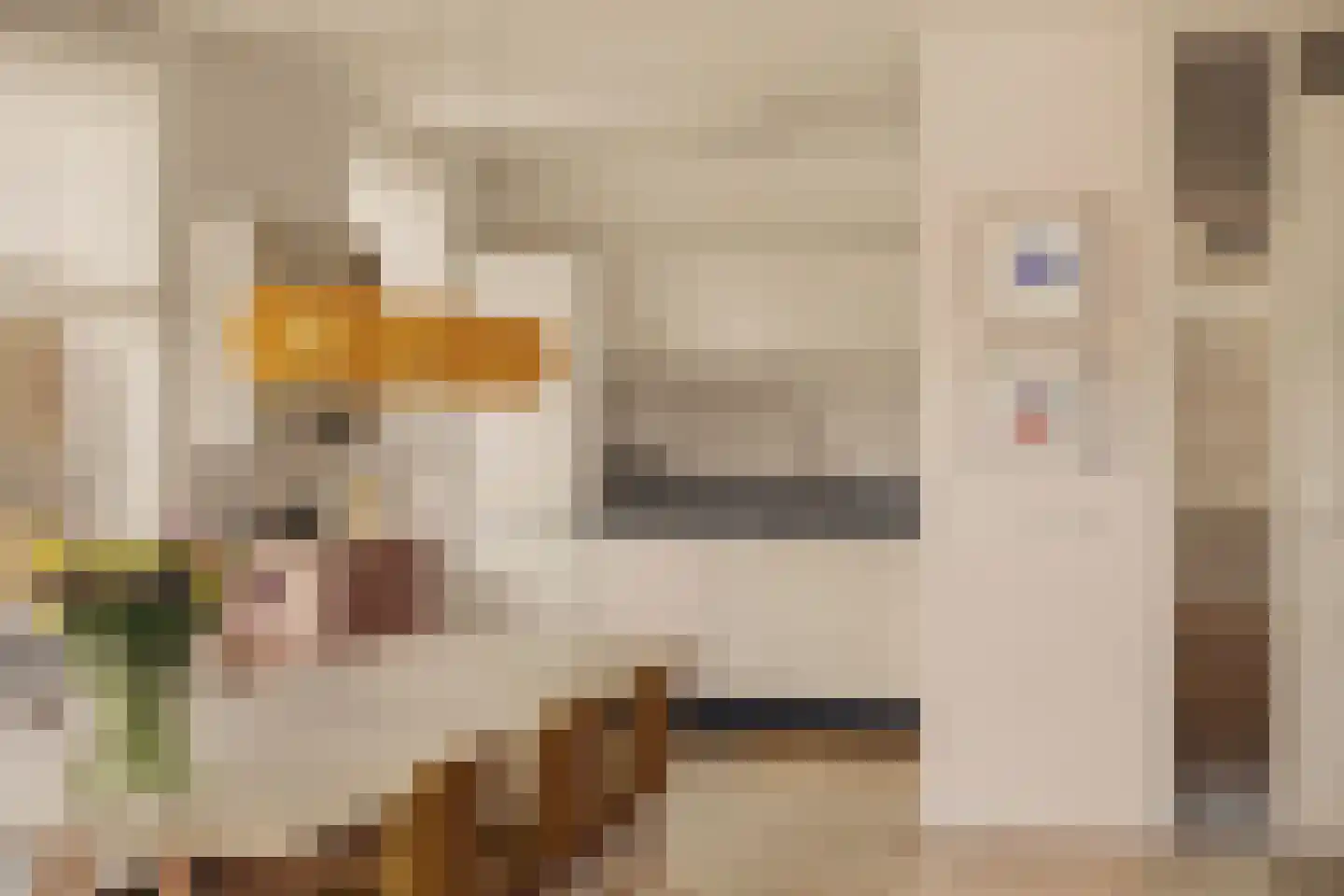 Pieter Oosterhuisstraat 16 Amsterdam thumbnail 22