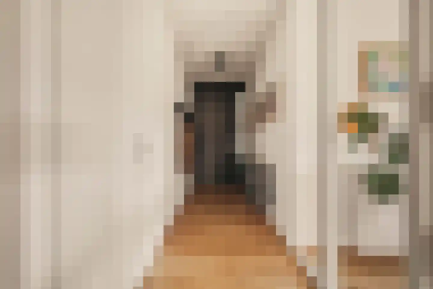 Pieter Oosterhuisstraat 16 Amsterdam thumbnail 28