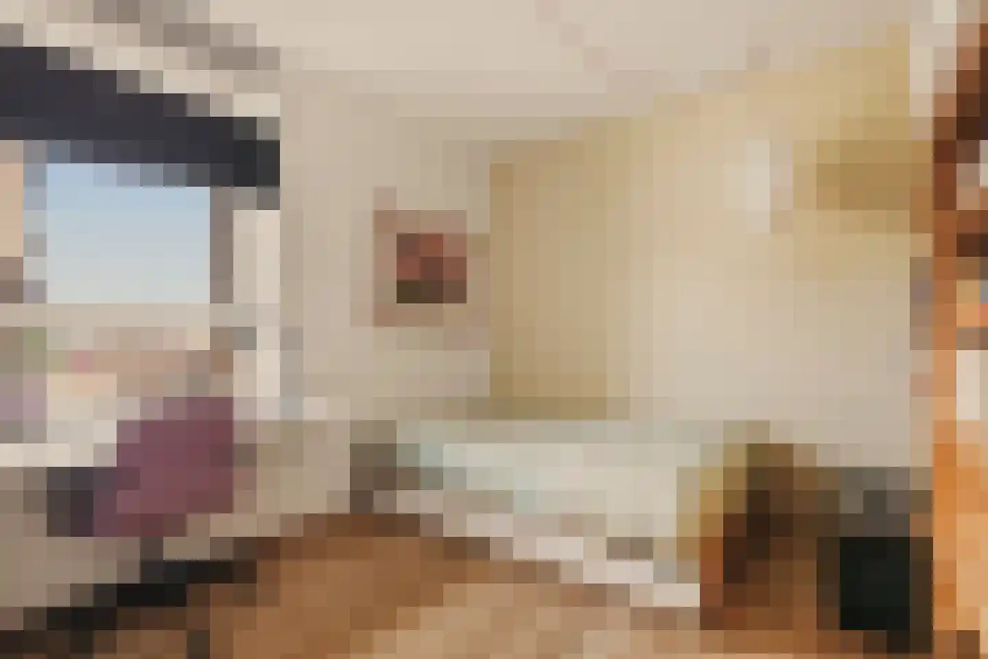 Pieter Oosterhuisstraat 16 Amsterdam thumbnail 31