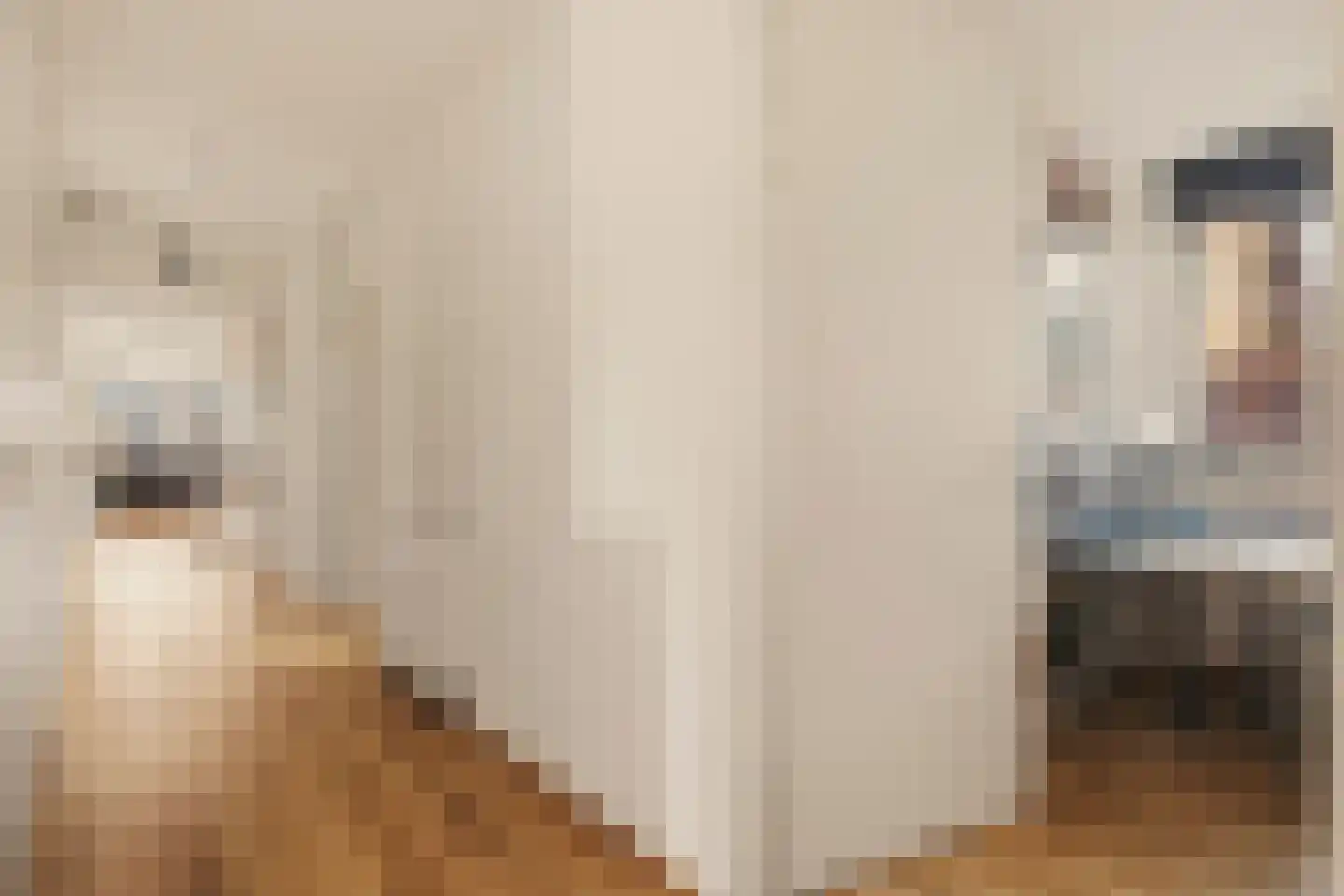 Pieter Oosterhuisstraat 16 Amsterdam thumbnail 34