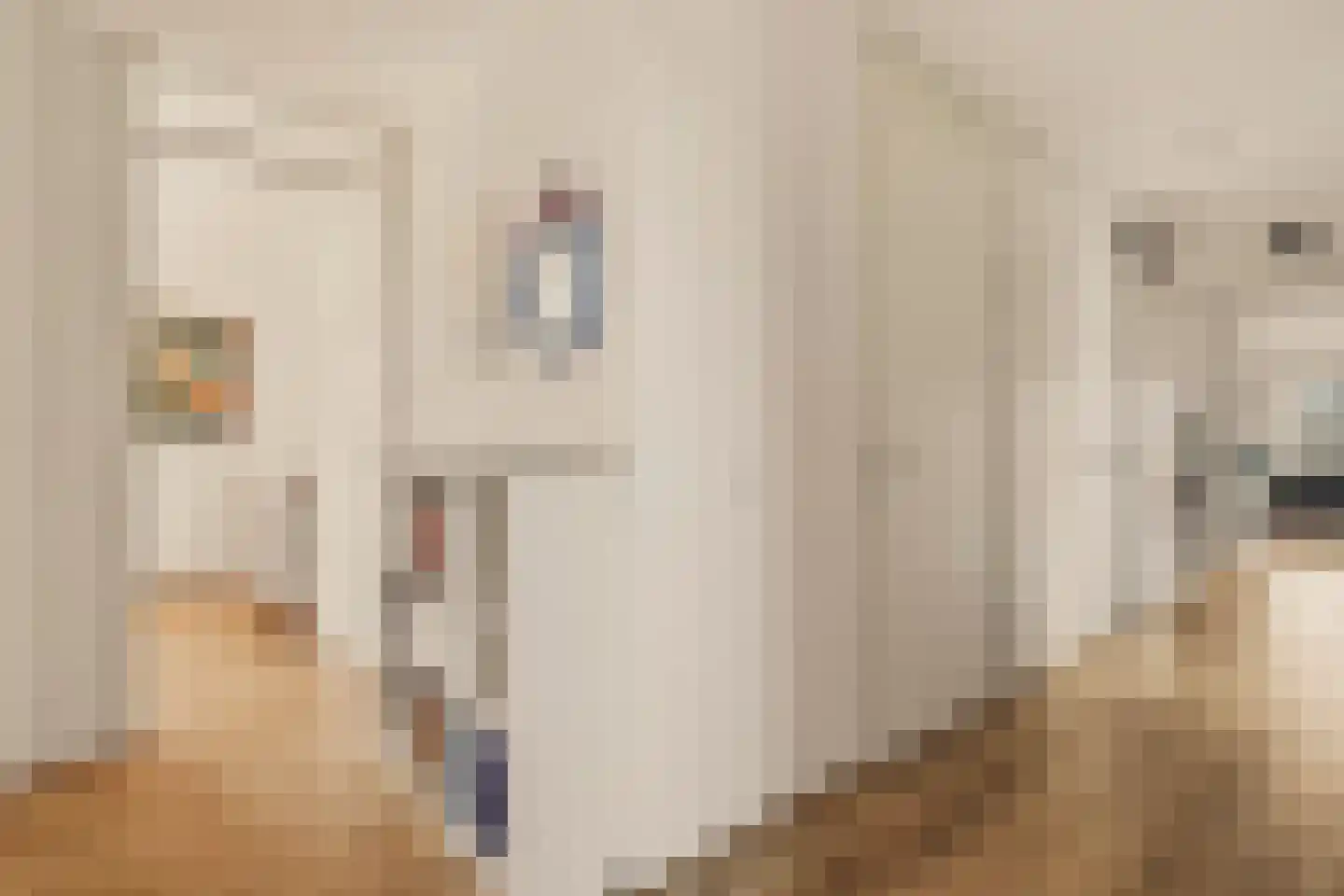 Pieter Oosterhuisstraat 16 Amsterdam thumbnail 37