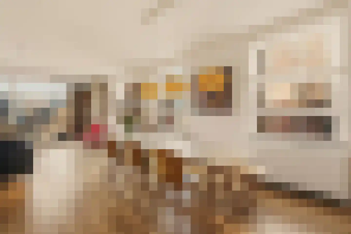 Pieter Oosterhuisstraat 16 Amsterdam thumbnail 5