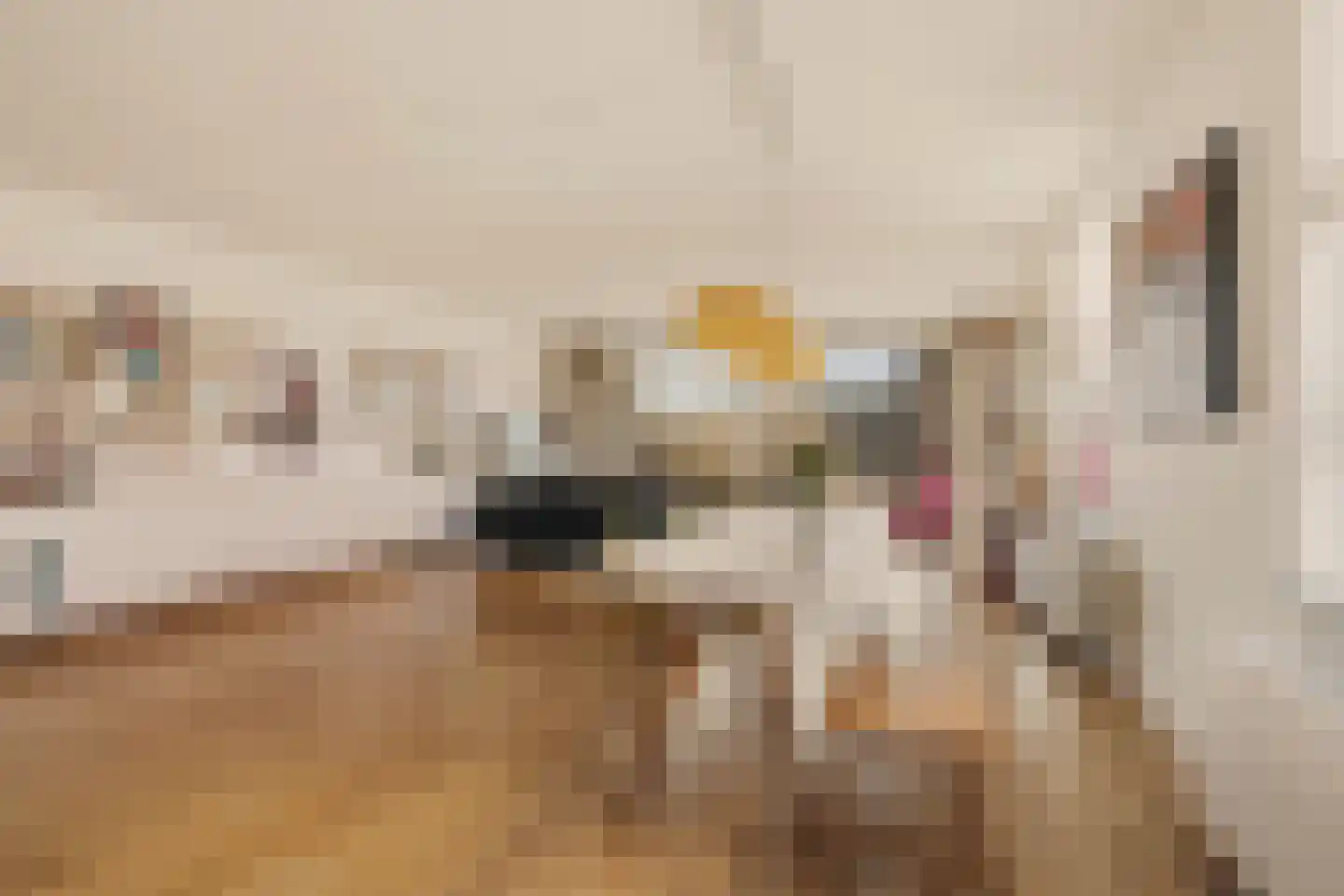 Pieter Oosterhuisstraat 16 Amsterdam thumbnail 7