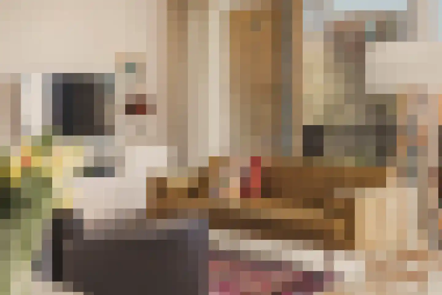 Pieter Oosterhuisstraat 16 Amsterdam thumbnail 9
