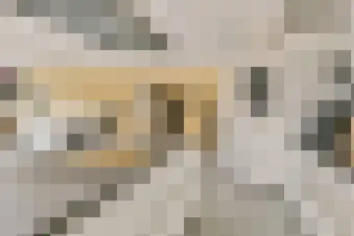 Pieter Oosterhuisstraat 38 Amsterdam thumbnail 17
