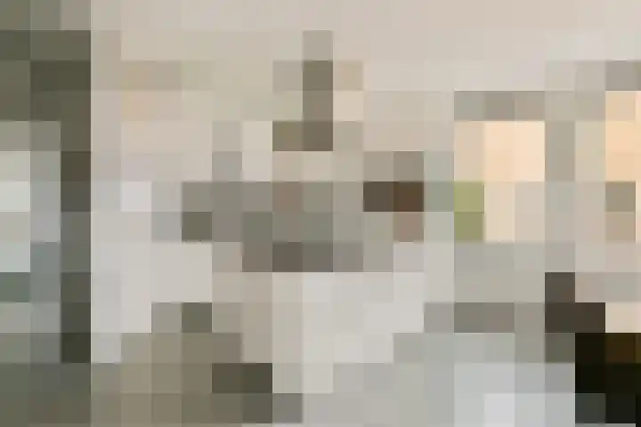 Pieter Oosterhuisstraat 38 Amsterdam thumbnail 4