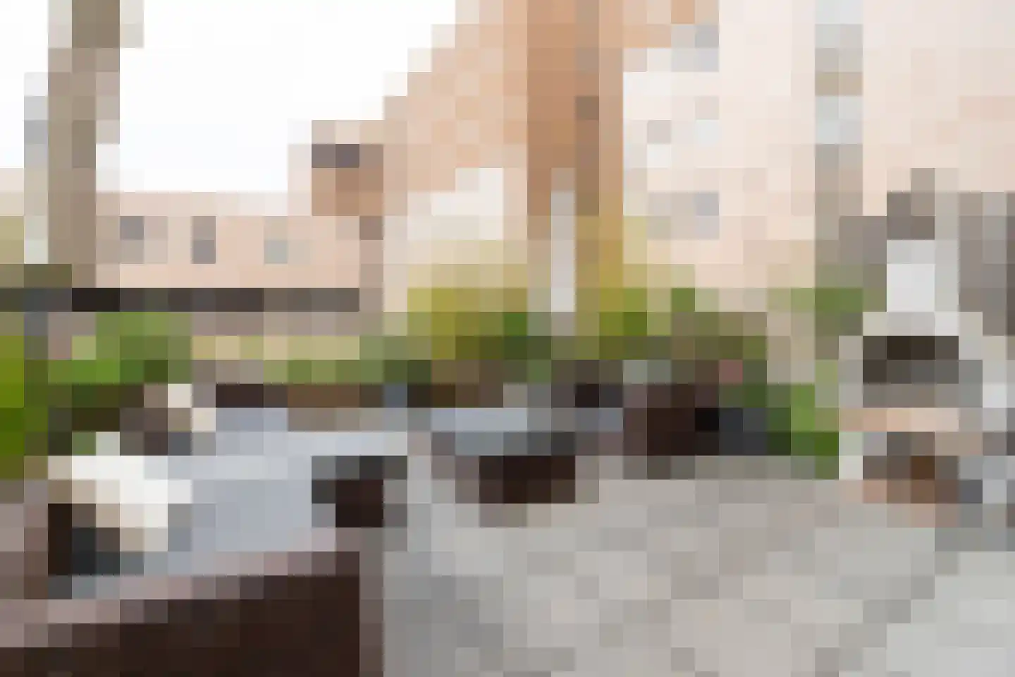 Pieter Oosterhuisstraat 48 Amsterdam thumbnail 10