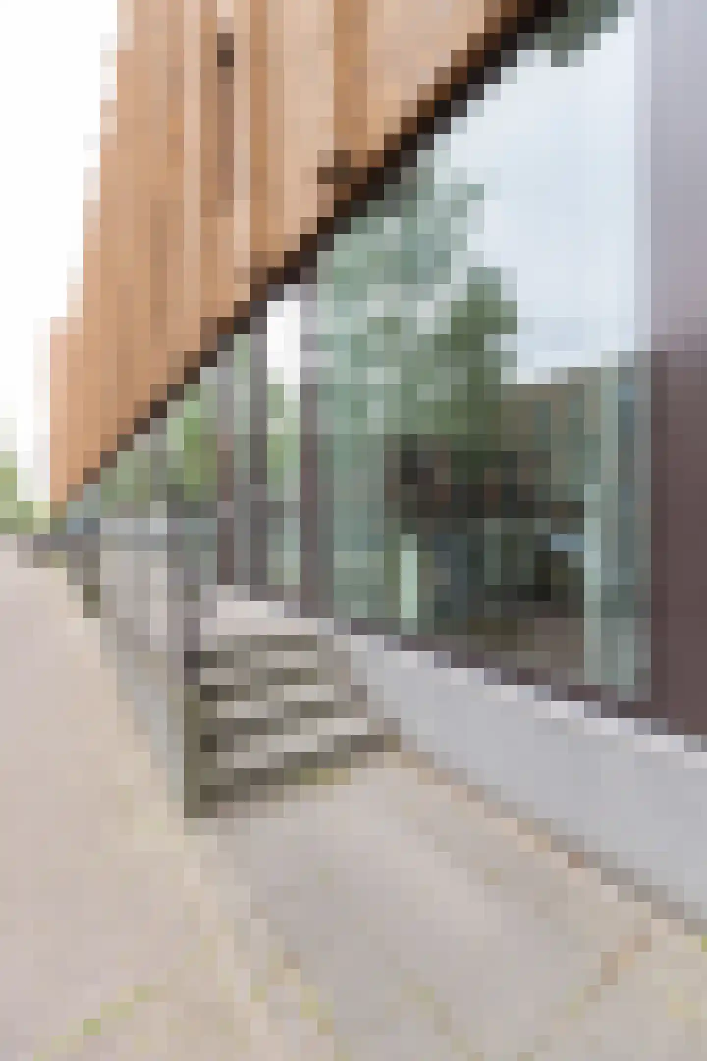 Pieter Oosterhuisstraat 48 Amsterdam thumbnail 20