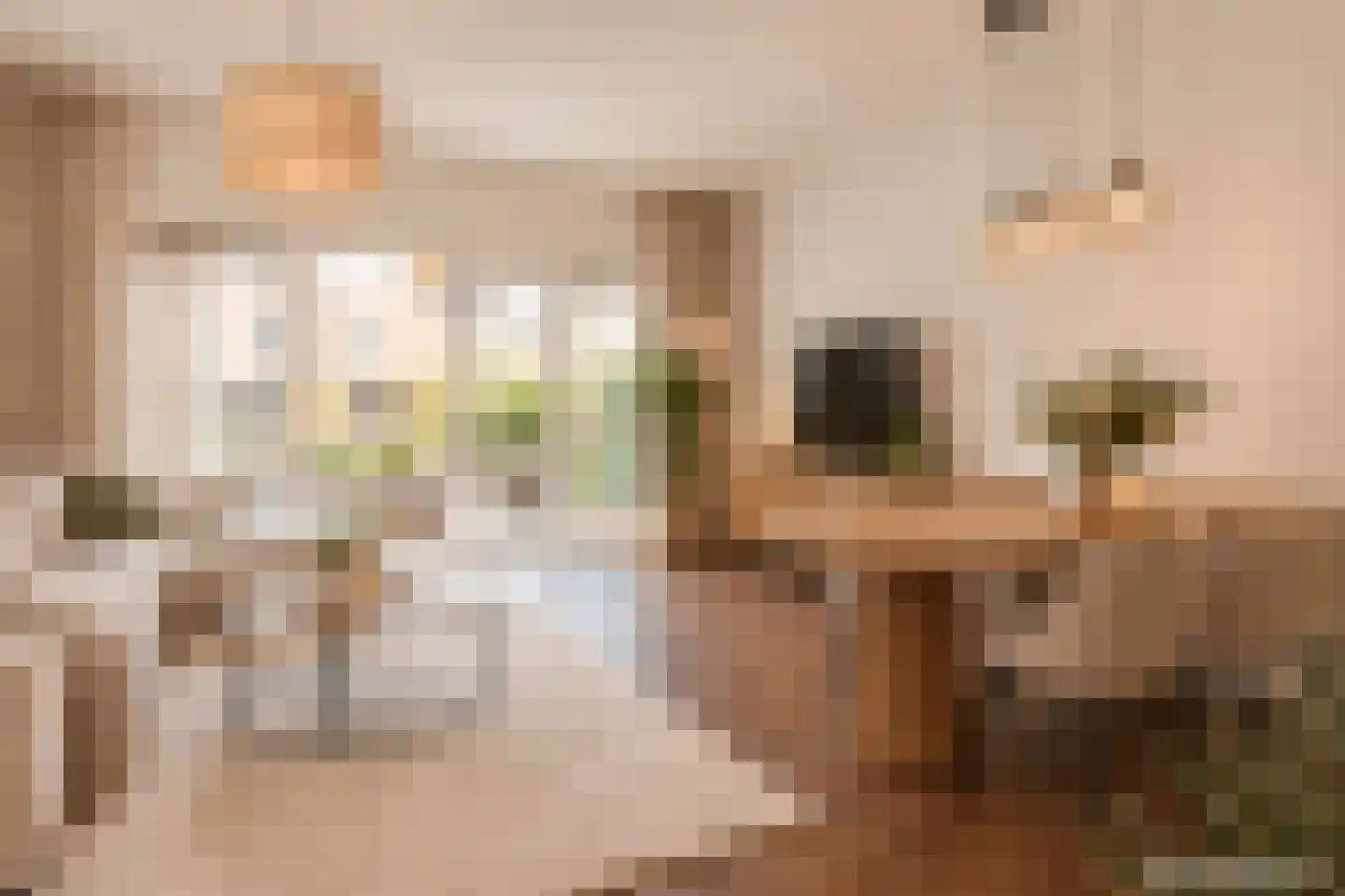 Pieter Oosterhuisstraat 48 Amsterdam thumbnail 5