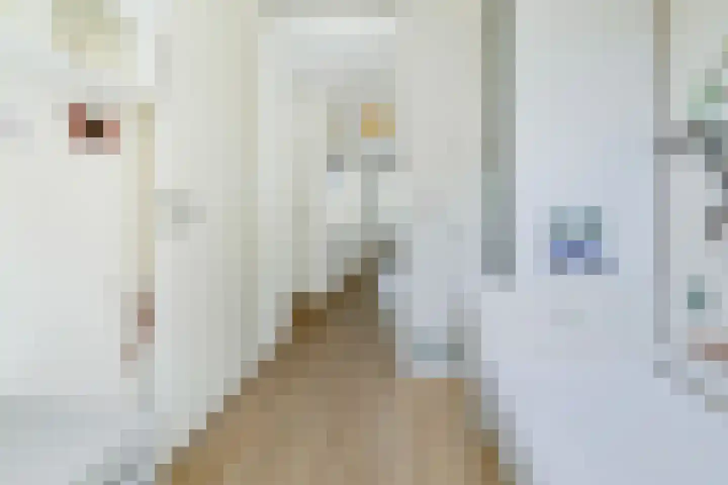 Pieter Oosterhuisstraat 64 Amsterdam thumbnail 33