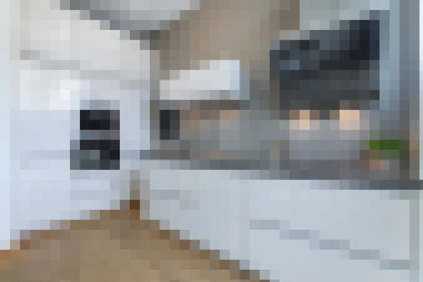 Pieter Oosterhuisstraat 64 Amsterdam thumbnail 4