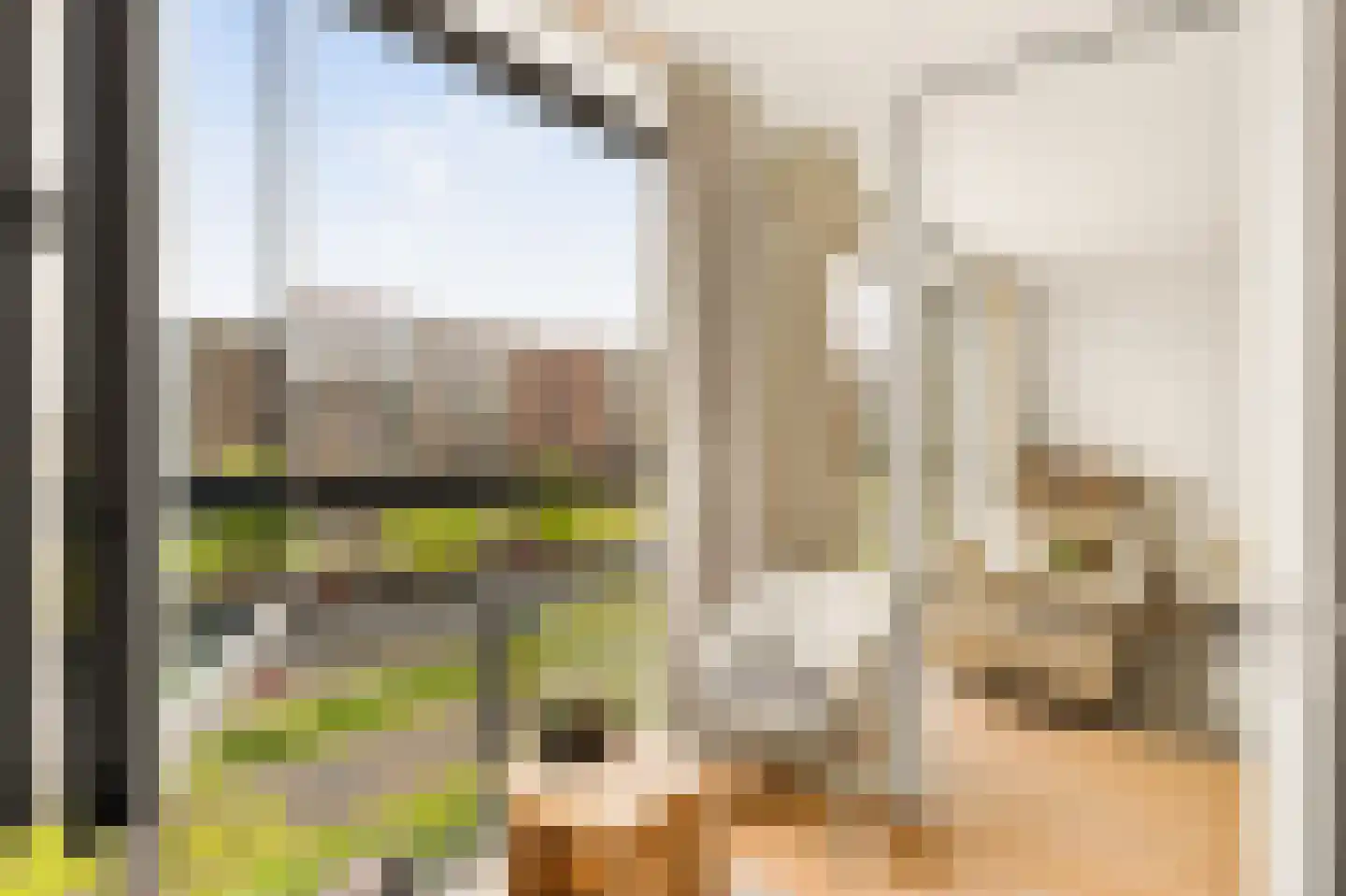 Pieter Oosterhuisstraat 77 Amsterdam thumbnail 4