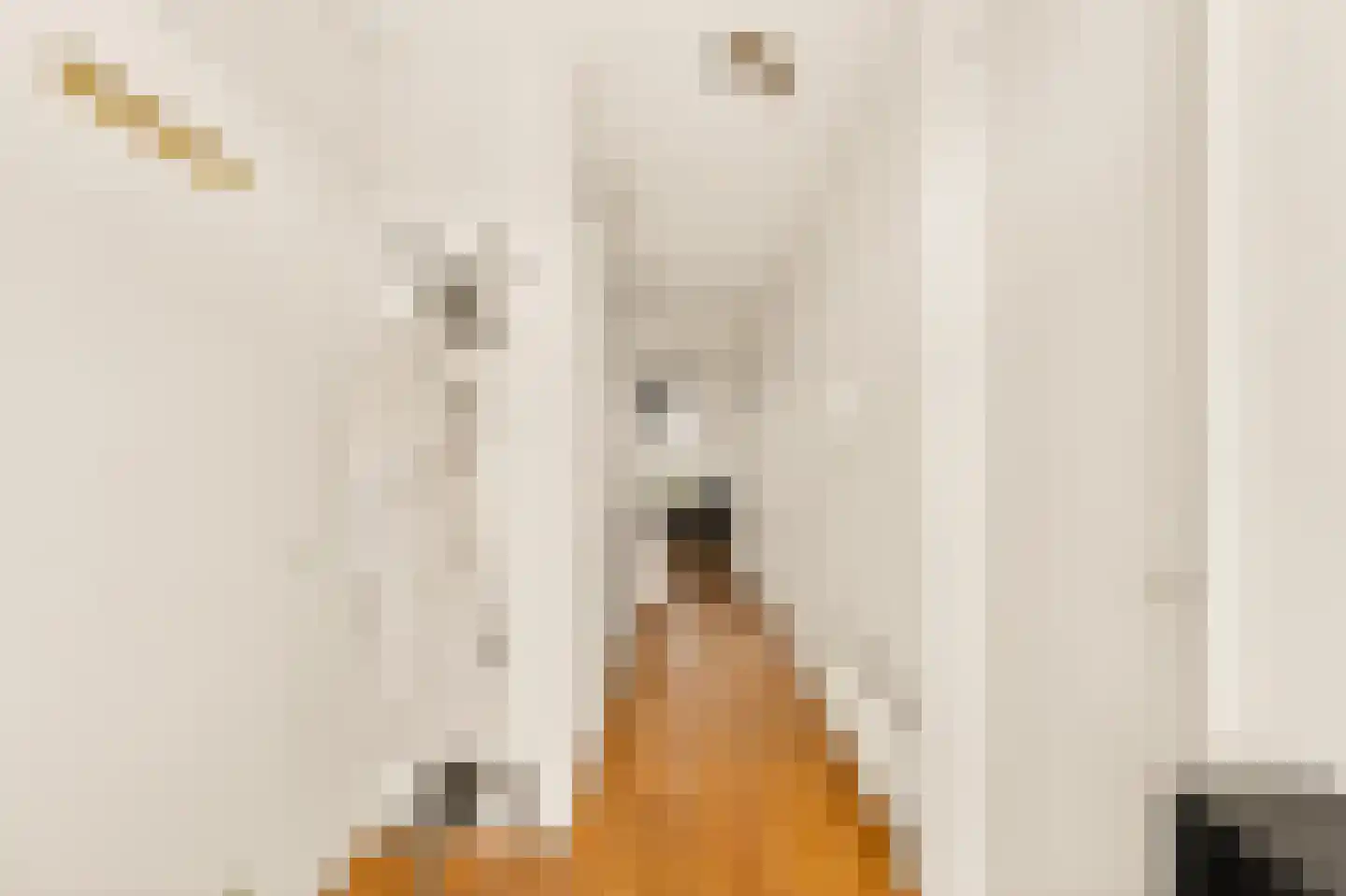 Pieter Oosterhuisstraat 77 Amsterdam thumbnail 6
