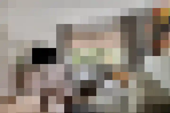 Pieter Pauluslaan 15 Eindhoven thumbnail 12