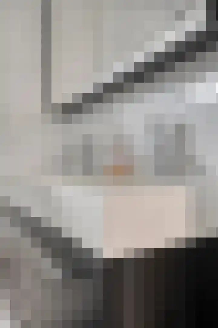 Pieter Pauluslaan 15 Eindhoven thumbnail 21