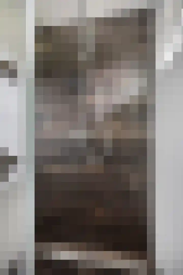 Pieter Pauluslaan 15 Eindhoven thumbnail 22