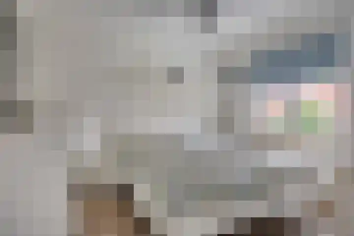Pieter Pauluslaan 15 Eindhoven thumbnail 23