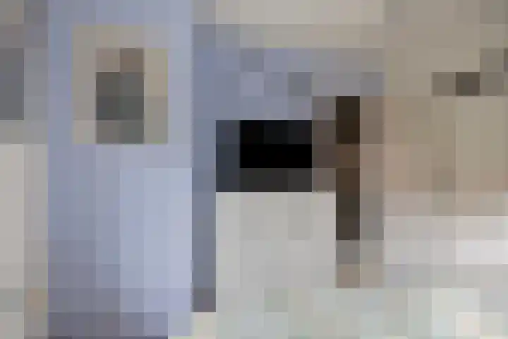 Pieter Pauluslaan 15 Eindhoven thumbnail 24