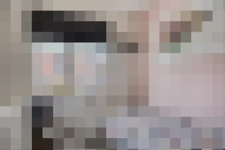 Pieter Pauluslaan 15 Eindhoven thumbnail 27