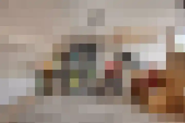 Pieter Pauluslaan 15 Eindhoven thumbnail 30