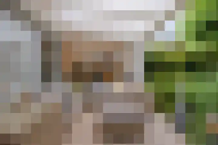 Pieter Pauluslaan 15 Eindhoven thumbnail 31