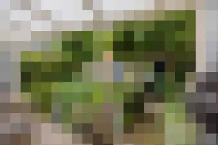 Pieter Pauluslaan 15 Eindhoven thumbnail 33