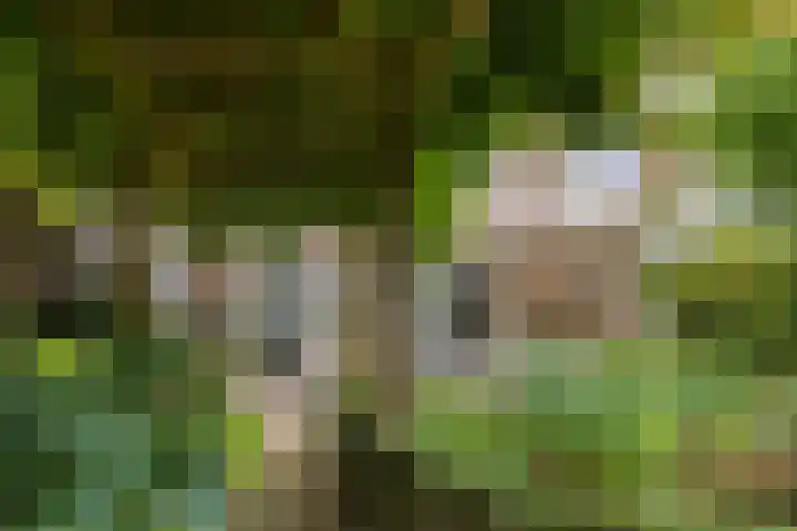Pieter Pauluslaan 15 Eindhoven thumbnail 34
