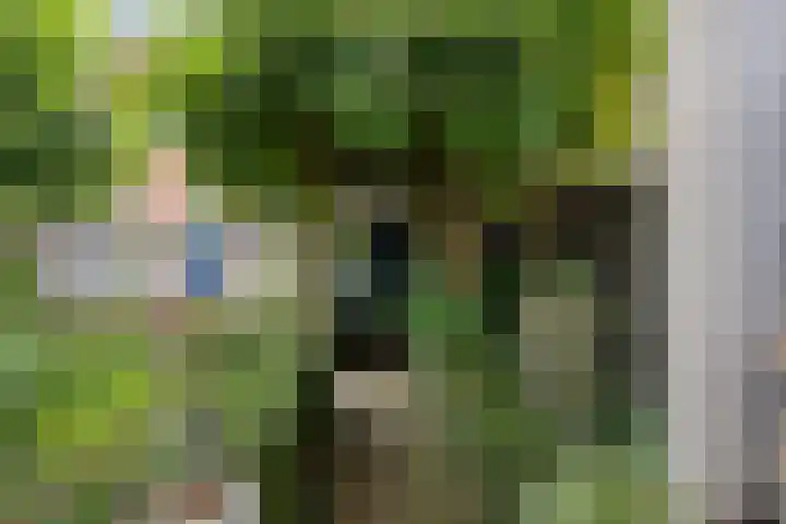 Pieter Pauluslaan 15 Eindhoven thumbnail 35