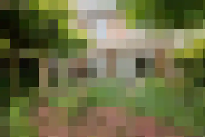 Pieter Pauluslaan 15 Eindhoven thumbnail 36