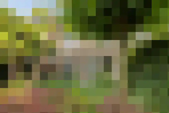 Pieter Pauluslaan 15 Eindhoven thumbnail 37