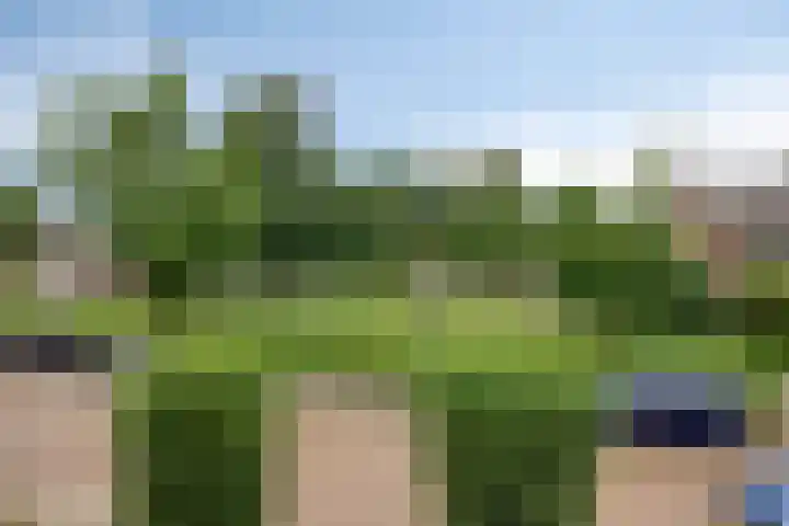 Pieter Pauluslaan 15 Eindhoven thumbnail 38